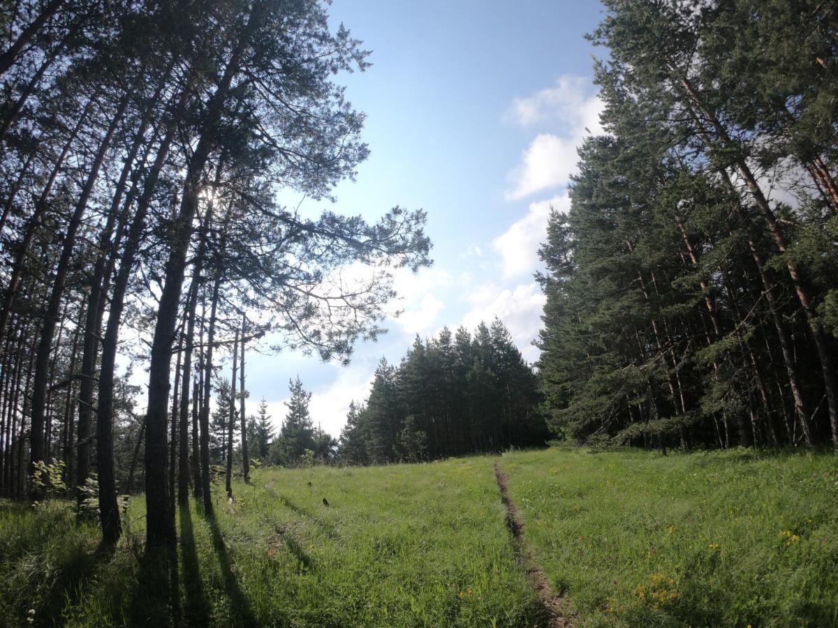 Carobni Breg Hotell Mokra Gora Eksteriør bilde